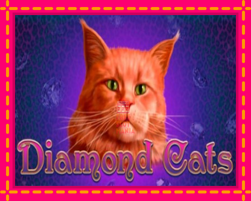 Diamond Cats - fascynujące historie