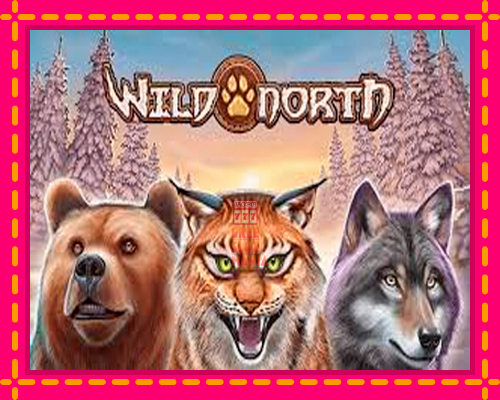 Wild North - fascynujące historie