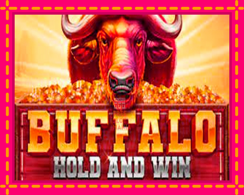 Buffalo Hold and Win Extreme - fascynujące historie