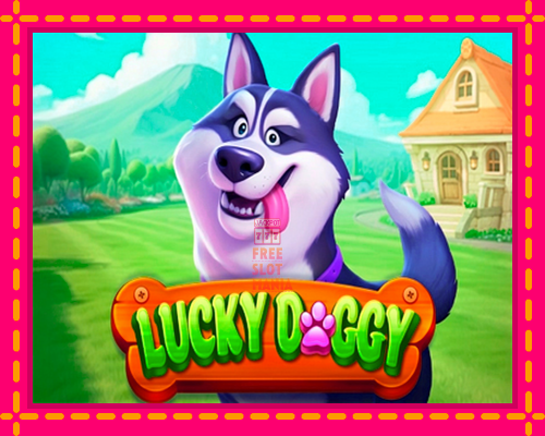 Lucky Doggy - fascynujące historie