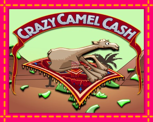 Crazy Camel Cash - fascynujące historie