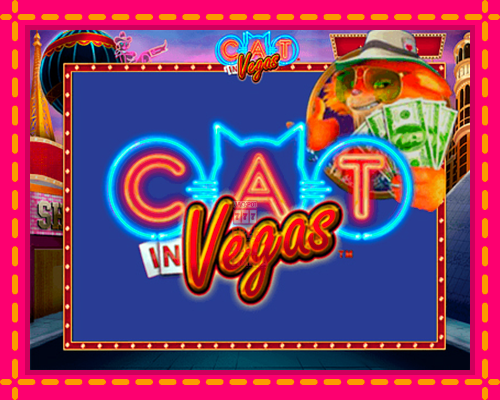 Cat In Vegas - fascynujące historie