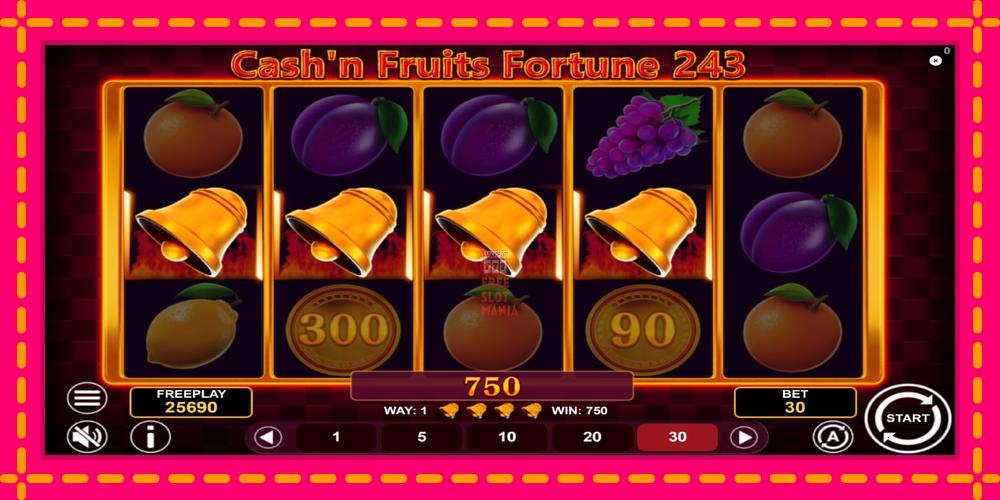 Automat Cashn Fruits Fortune 243 z jasną grafiką, zdjęcie 5