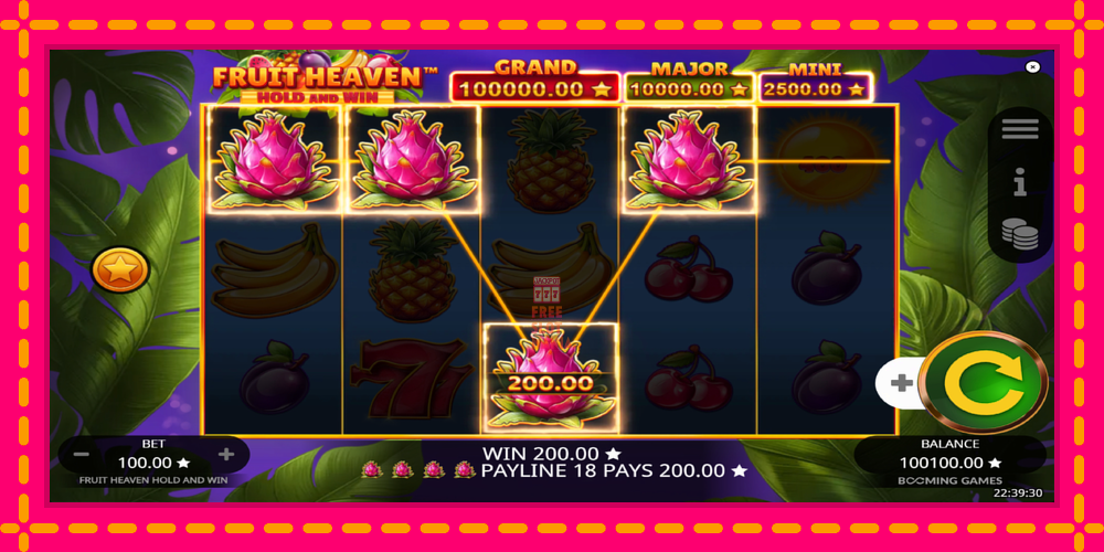 Automat Fruit Heaven Hold and Win z jasną grafiką, zdjęcie 3